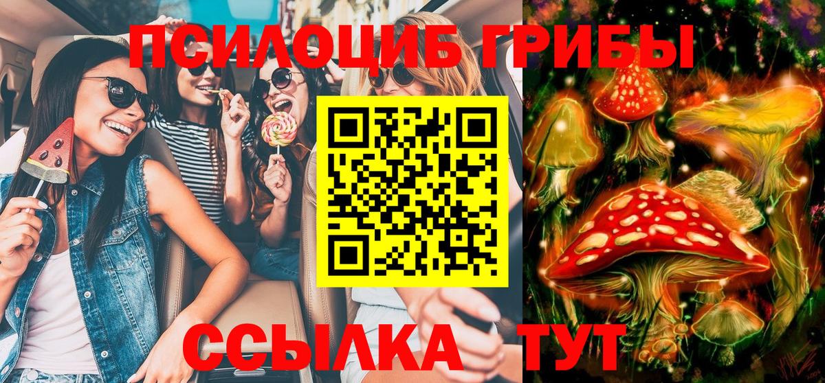 Унеча  Галлюциногенные грибы ЛСД  Вход с VPN 