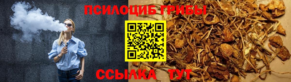 Псилоцибиновые грибы Psilocybine cubensis Унеча